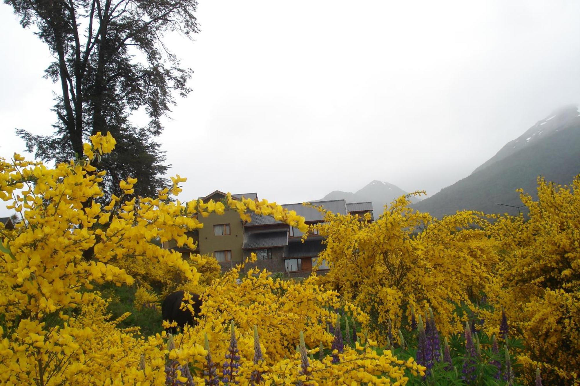 La Roca De La Patagonia Hotel Villa La Angostura Exterior foto